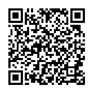 哭泣中的白灵条件反射地抓起桌上的花瓶就向他扔了过去二维码生成