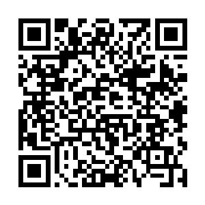 哭着喊着要给石市长当秘书的从这里能够排到白山去二维码生成