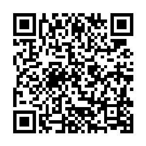 哭笑不得的彭哲伟恨不得狠狠的踹上雷欢喜一脚……二维码生成