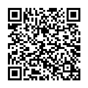 哼……你们以为呼唤更多邪恶的同伴来就能战胜我了吗二维码生成