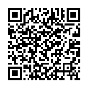 哼……其实他是因为……因为我打伤过他的弟弟二维码生成