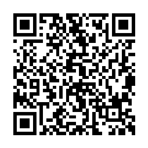 哼……大公离开之前可没指定谁是真正的继承人二维码生成