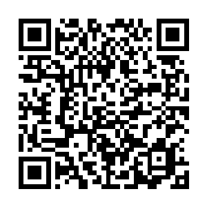 哼　难道你不知道修真界的规矩　元婴大能不能轻易出手吗二维码生成