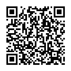 哼了哼鼻子没去理会心灵受到严重创伤的墨北林二维码生成