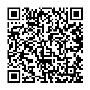 唐三十六和苏墨虞带着国教学院艰难通过预科考试的三名新生进了离宫考场二维码生成