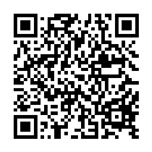 唐三十六甚至看到有两名帐房先生甚至因为心神消耗过大二维码生成