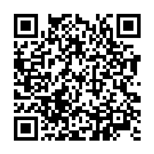 唐主任说澹台明月的调动手续是在几天之内就办好的二维码生成