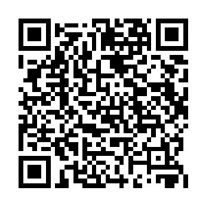 唐亦森的深沉锐眸正对安叔释放耐人寻味的观察二维码生成