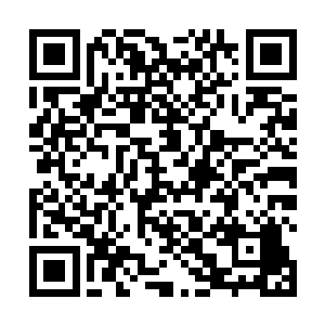 唐劫一直在处心积虑的寻找最大化天道领域价值的机会二维码生成