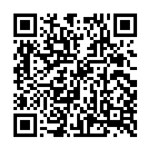 唐劫也是反手鞭加万物阴阳炉的神光照射打出去二维码生成