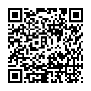 唐劫几乎把他真传后得到的所有收益都砸在里面了二维码生成