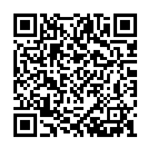 唐劫完全是不惜工本的将所有宝物都投进了炉中二维码生成