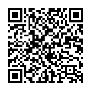 唐劫无往不利的圣火之攻在琉璃火蛇面前却是生生被克制住了二维码生成