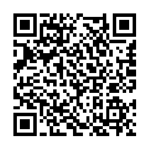 唐劫更是把能得到的所有灵草宝花都给了本体使用二维码生成