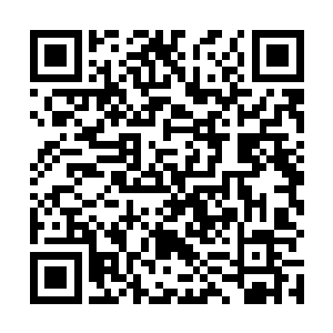 唐劫的帝刃显然不能从真正意义上伤害到这位血河之主二维码生成