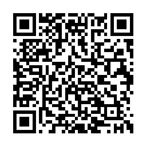 唐劫的身边除了一个桂真人外还有一个神秘巨汉二维码生成