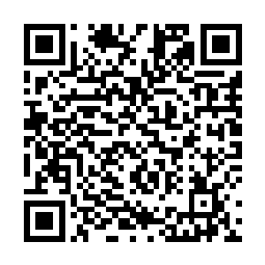 唐劫终于来到了这传说中只有仙台才能轻易横渡的地方二维码生成