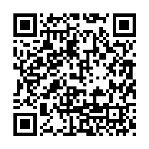 唐劫身上固然是同时出现十一个细如米粒的伤口二维码生成