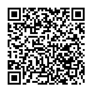 唐厉葆领着猎兽小队很快便抵达了先前见到元光落下之地的那片山谷二维码生成