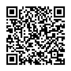 唐喜德在唐之泷和唐昕的陪同下绕场一圈挨个听奉承二维码生成