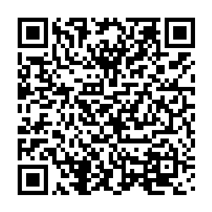 唐城真的不知道该用什么来形容自己这个妹夫的……至于说保命功夫二维码生成