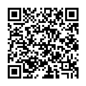 唐天对于兵大叔口中不断冒出来的新东西永远充满好奇二维码生成