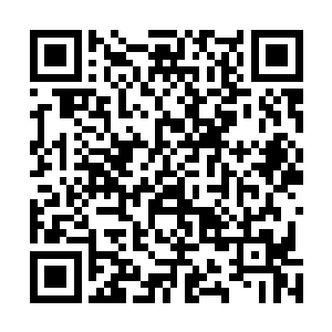 唐天豪知道自己的儿子不会在这种时候跟他开这样的玩笑二维码生成