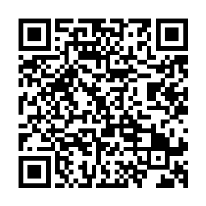 唐姓少女不由对这些珍稀材料和破旧法宝单元的买家深感好奇二维码生成