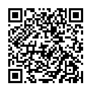 唐家大老祖清楚圣魂殿真传弟子中的半步魂祖不可小视二维码生成