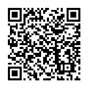 唐家弹腿的恐怖威力在唐龙的身上体现的霸气无双二维码生成