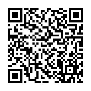 唐家绝对会狠狠收拾他们的……秦方是这样猜测的二维码生成