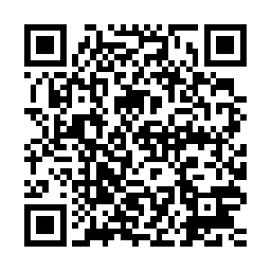 唐慕馨李念薇等几个女人对这种毛茸茸的小家伙尤其没有抵抗力二维码生成