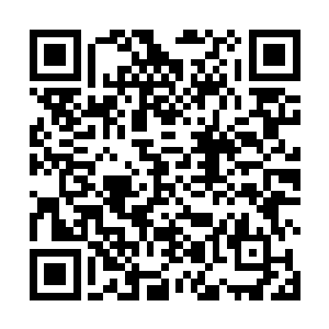 唐慕馨知道洪大力一旦下定主意那就九头牛都拉不回来二维码生成