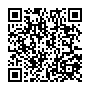 唐昊带着身后的灵力匹练直接朝着林烽冲了过来二维码生成
