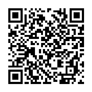 唐洪运因为建材市场的经济问题被抓去调查了一番二维码生成