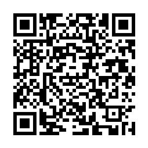 唐点点努力的把自己的脸从泰迪熊的颈子旁钻出来二维码生成