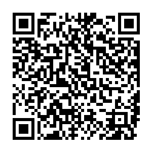 唐翩跹也不懂自己怎么会舍得以及放心把亚米留在一个陌生人家里二维码生成