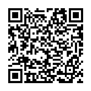 唐翩跹明知道他应该是来找她的还是做不到对他不客气二维码生成