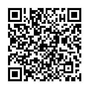 唐胖子也注意到了前面出现的被年轻人称为教官的男人二维码生成