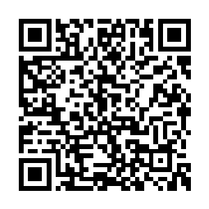 唐胖子望着嘴角还浮现着一丝淡淡的笑容的萧易二维码生成