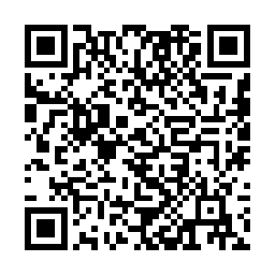 唐胖子根本就没有把萧易说的所谓的放松一点听进去二维码生成