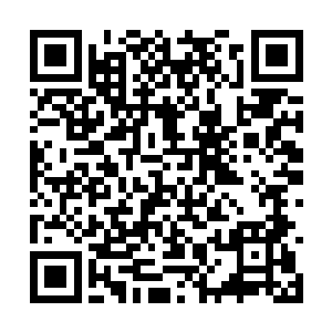 唐菲的脚踝肿起的地方以肉眼可见的速度小了下去二维码生成