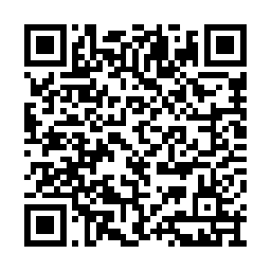 唐菲菲和萧慕雪都是怒气冲冲的对着秦方狂吼道二维码生成