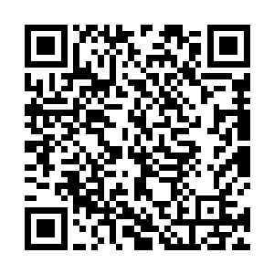 唐菲菲她们就一个劲的撺掇着秦方把那几块石料给解了二维码生成