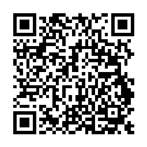 唐钰相信自己是没办法拒绝收这么一位有天赋的学生的二维码生成