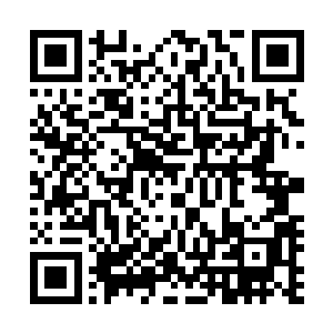 唐铮一米八身高在对方两米多的高海拔之下也显得有些瘦小二维码生成
