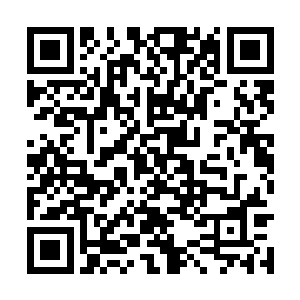 唐铮可不会像电视中演的那样傻傻地等他变身完毕二维码生成