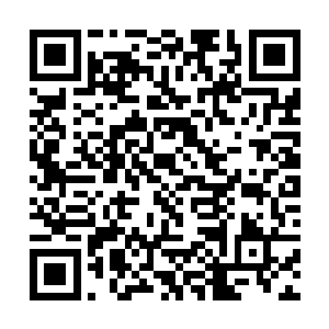 唐铮真的很想凑上去看一眼羊皮古卷上究竟还有什么二维码生成