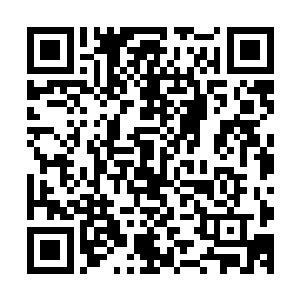 唐雅岚看着苏落那雪白无一丝瑕疵细腻如丝滑吹弹可破的肌肤二维码生成