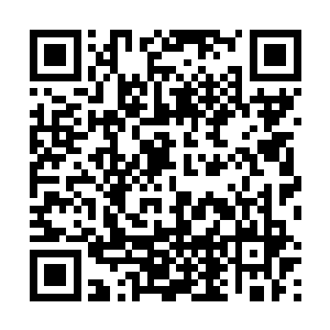 唐龙这时也终于明白为什么叶秋不尊重这个中的强者了二维码生成